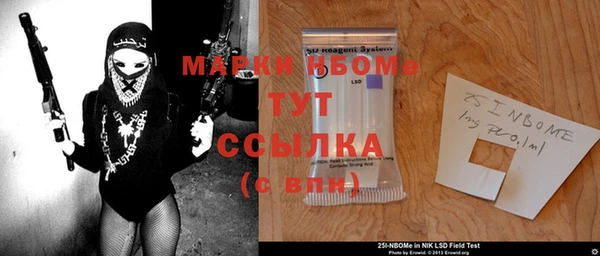 PSILOCYBIN Алзамай