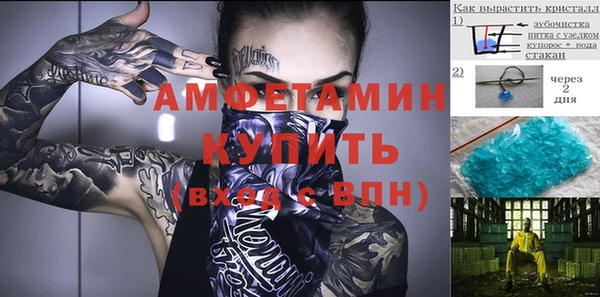 PSILOCYBIN Алзамай