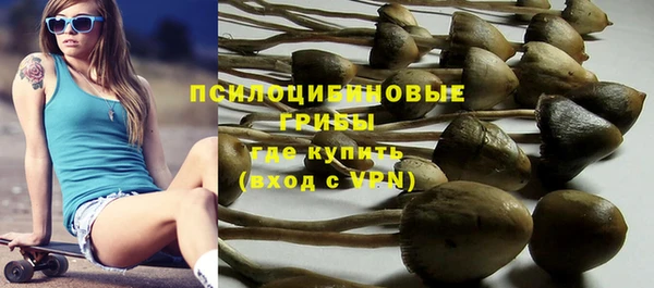 PSILOCYBIN Алзамай