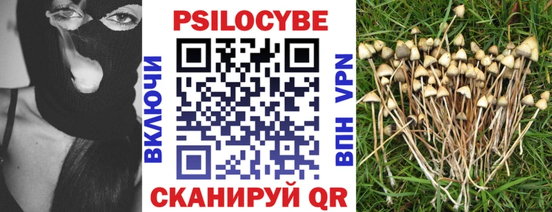 Галлюциногенные грибы GOLDEN TEACHER  Шумиха 